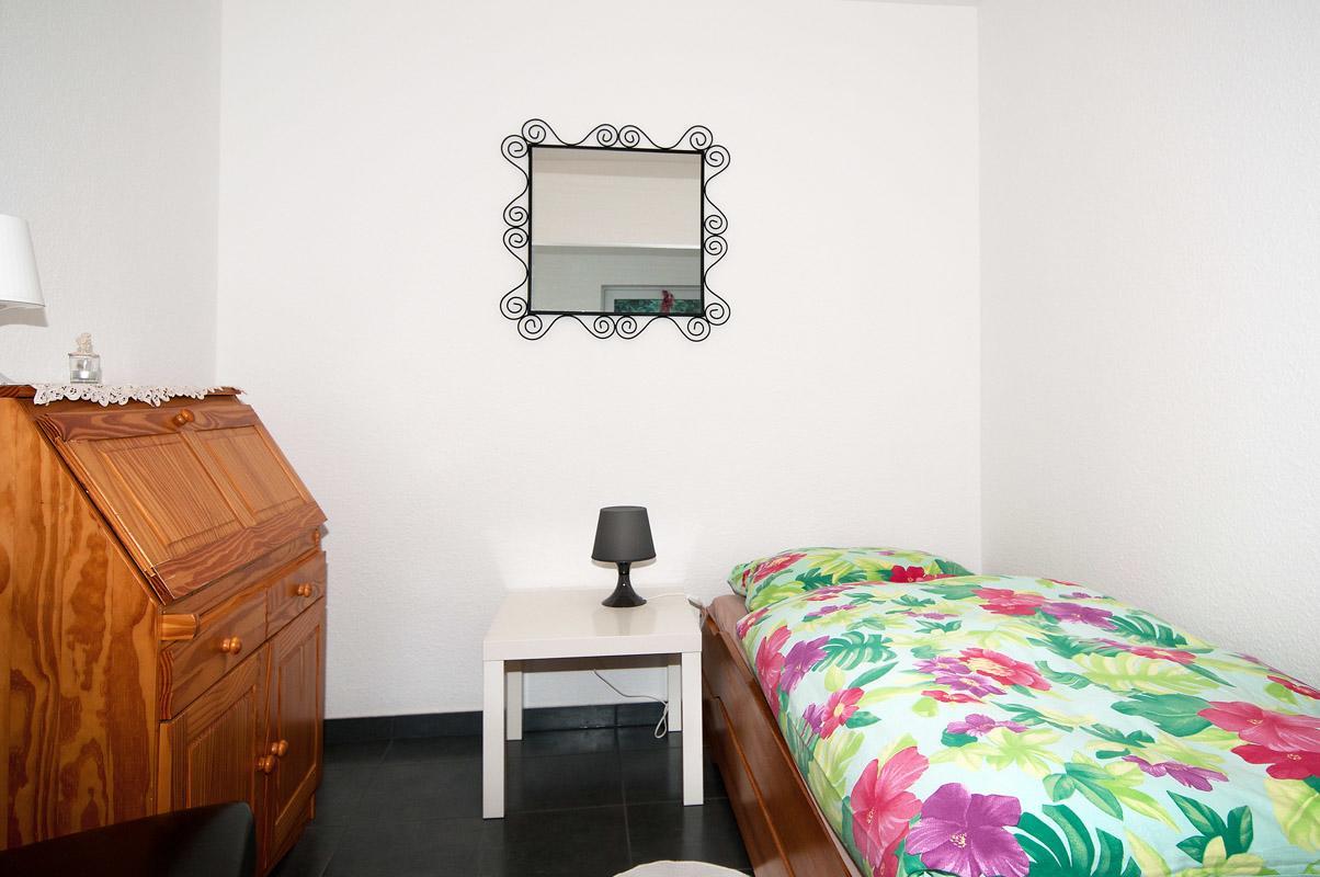 Landhotel Alte Muehle Modautal Extérieur photo