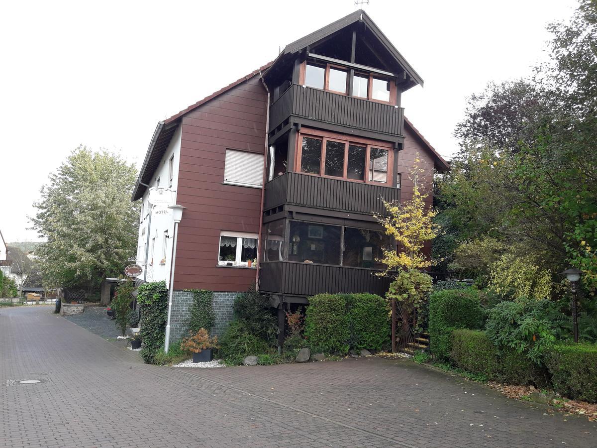 Landhotel Alte Muehle Modautal Extérieur photo