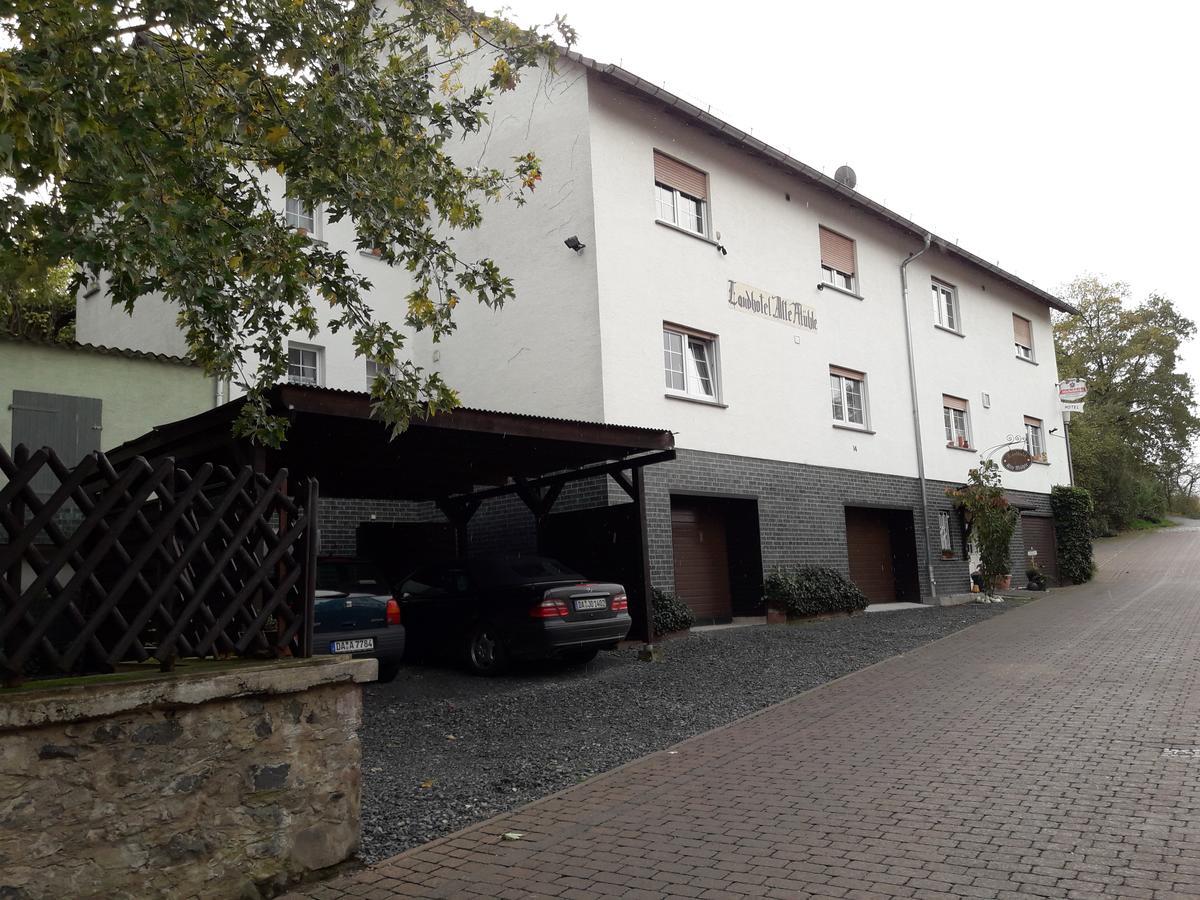 Landhotel Alte Muehle Modautal Extérieur photo