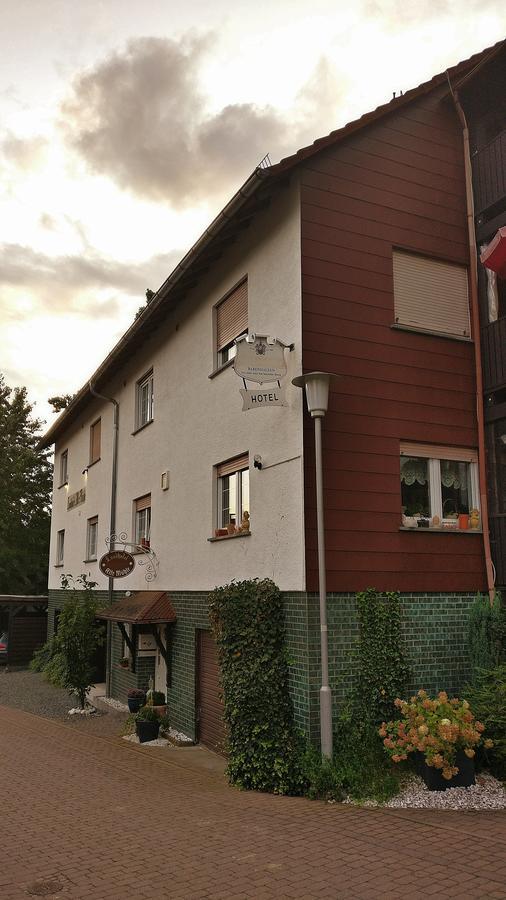 Landhotel Alte Muehle Modautal Extérieur photo